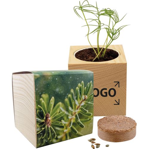 Big Natur Cube Spruce